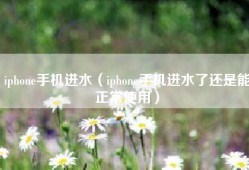 iphone手机进水（iphone手机进水了还是能正常使用）