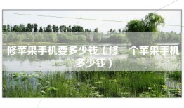 修苹果手机要多少钱（修一个苹果手机多少钱）