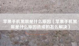 苹果手机黑屏是什么原因（苹果手机黑屏是什么原因造成的怎么解决）