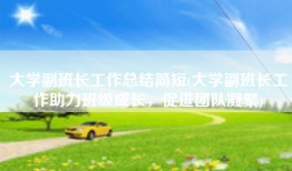 大学副班长工作总结简短(大学副班长工作助力班级成长，促进团队凝聚)