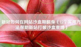 新站如何在网站沙盒期翻身（15个实用方法帮助新站打破沙盒束缚）
