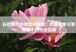 谷歌推广效果如何评估：百度搜索引擎算法下的专业指南