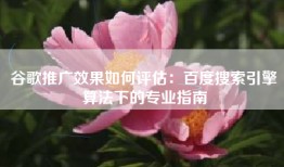谷歌推广效果如何评估：百度搜索引擎算法下的专业指南