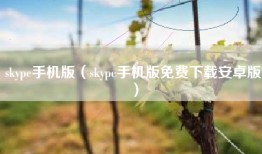 skype手机版（skype手机版免费下载安卓版）