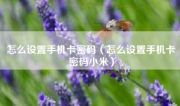 怎么设置手机卡密码（怎么设置手机卡密码小米）