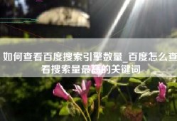 如何查看百度搜索引擎数量_百度怎么查看搜索量最高的关键词