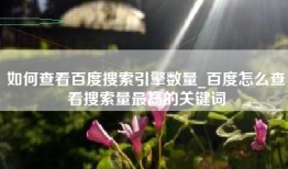 如何查看百度搜索引擎数量_百度怎么查看搜索量最高的关键词
