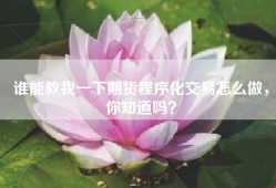 谁能教我一下期货程序化交易怎么做，你知道吗？