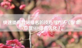 快速提高网站排名的技巧与方法（学会百度SEO排名优化）