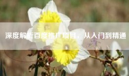 深度解析百度推广项目，从入门到精通