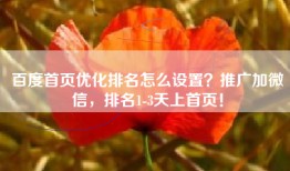 百度首页优化排名怎么设置？推广加微信，排名1-3天上首页！