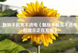 魅族手机充不进电（魅族手机充不进电但提示正在充电）