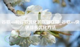谷歌seo和谷歌优化的区别在哪_谷歌seo快速排名优化方法