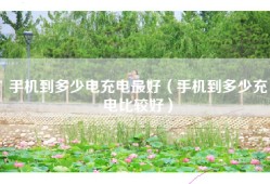 手机到多少电充电最好（手机到多少充电比较好）