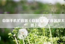 自制手机扩音器（自制手机扩音器放大器）