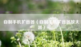 自制手机扩音器（自制手机扩音器放大器）