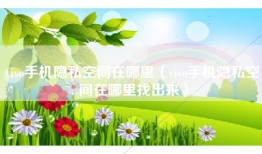 vivo手机隐私空间在哪里（vivo手机隐私空间在哪里找出来）