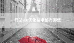 网站SEO优化技术都有哪些