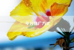 平台推广方式