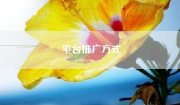 平台推广方式