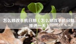 怎么修改手机日期（怎么修改手机日期推进一天）