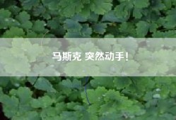 马斯克 突然动手！
