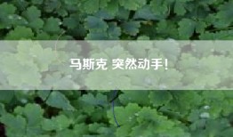 马斯克 突然动手！
