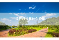 银行行长是什么级别