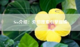 Seo介绍：介绍搜索引擎蜘蛛