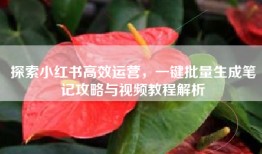 探索小红书高效运营，一键批量生成笔记攻略与视频教程解析