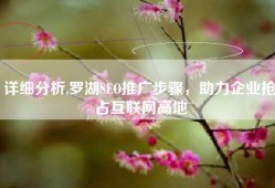 详细分析,罗湖SEO推广步骤，助力企业抢占互联网高地