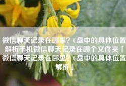 微信聊天记录在哪里？C盘中的具体位置解析手机微信聊天记录在哪个文件夹「微信聊天记录在哪里？C盘中的具体位置解析」