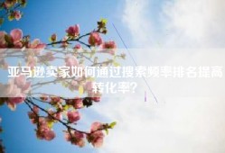 亚马逊卖家如何通过搜索频率排名提高转化率？