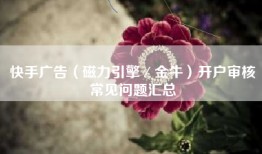 快手广告（磁力引擎／金牛）开户审核常见问题汇总