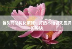 包头网站优化策略：打造本地领先品牌的秘诀
