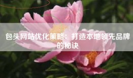 包头网站优化策略：打造本地领先品牌的秘诀