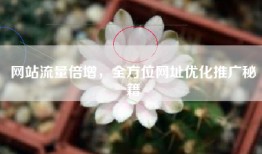 网站流量倍增，全方位网址优化推广秘籍
