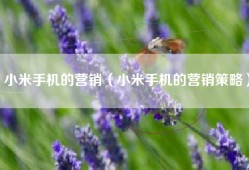 小米手机的营销（小米手机的营销策略）
