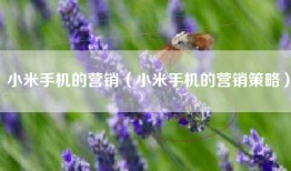 小米手机的营销（小米手机的营销策略）