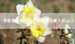 手机蒙文输入法（手机蒙文输入法app）