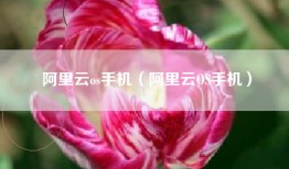 阿里云os手机（阿里云OS手机）