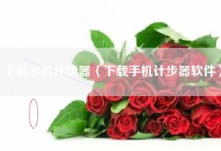下载手机计步器（下载手机计步器软件）