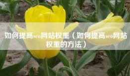 如何提高seo网站权重（如何提高seo网站权重的方法）