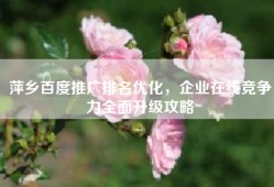 萍乡百度推广排名优化，企业在线竞争力全面升级攻略