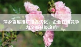 萍乡百度推广排名优化，企业在线竞争力全面升级攻略