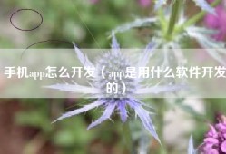 手机app怎么开发（app是用什么软件开发的）