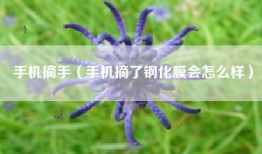 手机摘手（手机摘了钢化膜会怎么样）
