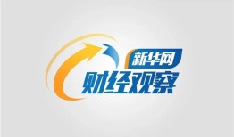 重回焦点的CCD相机