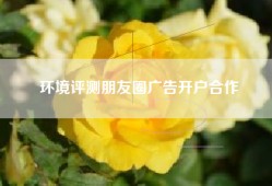 环境评测朋友圈广告开户合作