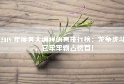 2019 年度各大编程语言排行榜：龙争虎斗，它牢牢霸占榜首！